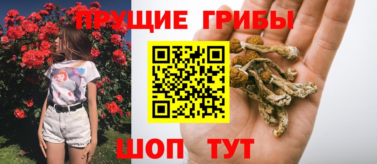 Псилоцибиновые грибы GOLDEN TEACHER Донецк